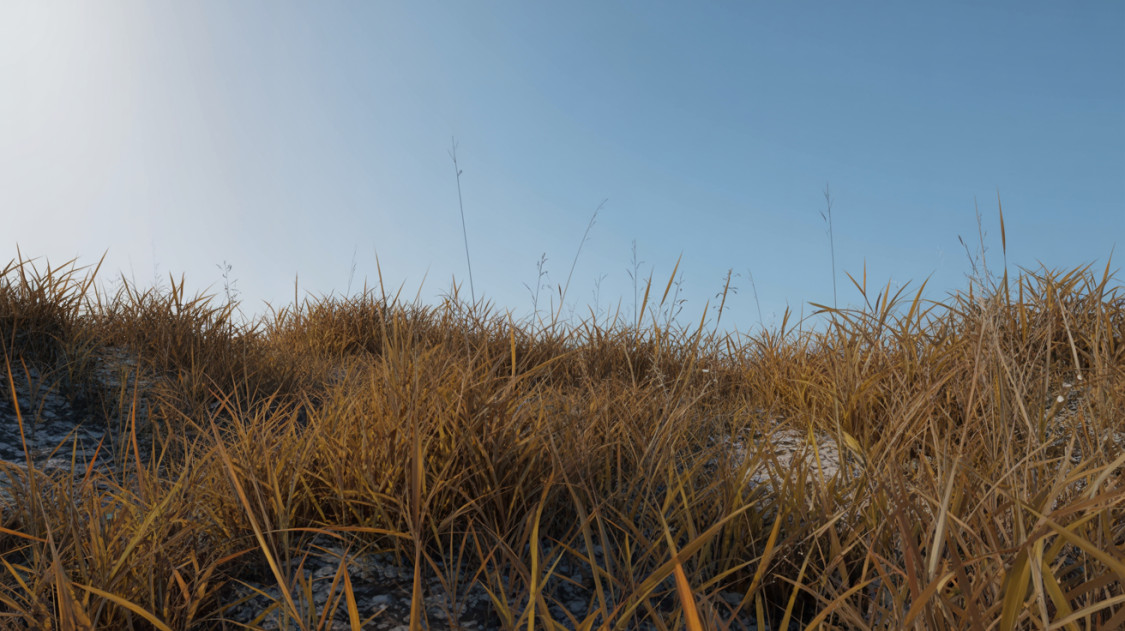 Blurred placeholder