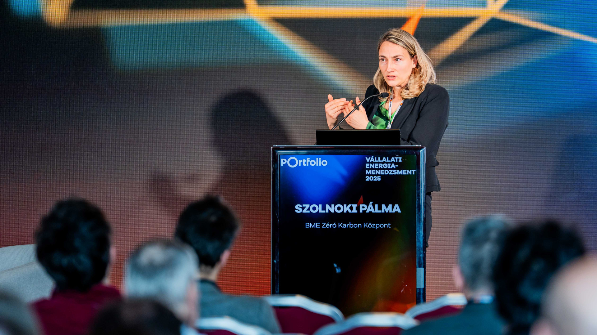 Az önfogyasztás optimalizálása lehet az energiatárolók egyik legfőbb hozzáadott értéke a jövőben