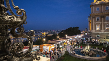 Világszintű kóstolók és jótékonysági borárverés a Budavári Palotában (x)