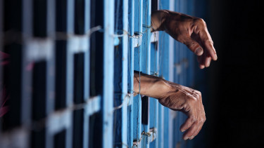 Héraklész hadművelet: egyetlen tollvonással 1400 csaló oldalt kapcsoltak le