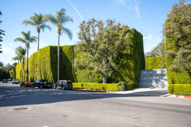 amazonbeverlyhills
