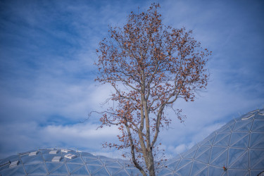 biodóm 2019 december