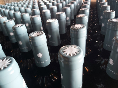 cassiopeia_merlot_2015