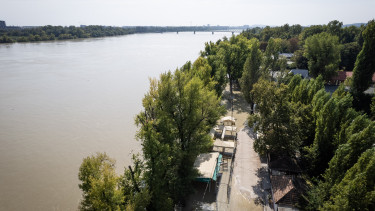 duna-fák-folyó-híd-környezet-nyár-part-természet-viz