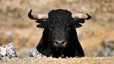 Bemondták a profik: eddig eshet az arany ára