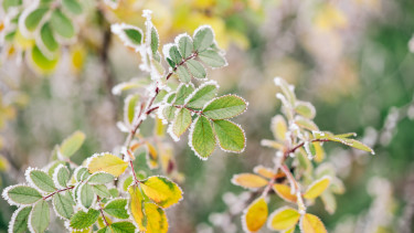 Vasárnap hajnalban mínusz hét fok is lehet