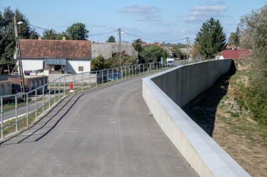 fetivizig1