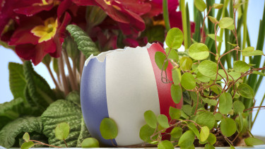 Franciaország tojás stock