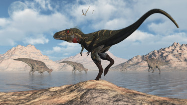 Egy új dinoszauruszfajt fedeztek fel a tudósok: ez lehetett a 700 kilós