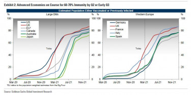 goldman herd immunity