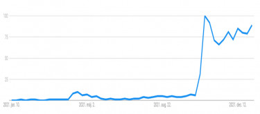 google trends