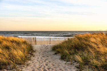 hamtonsbeach