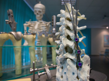 Sanatmetal implantatum gerinc