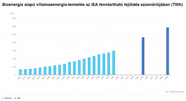 KÉP_biomassza