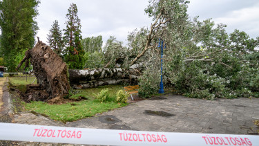Évtizedes rekordott döntött a vihar Magyarországon