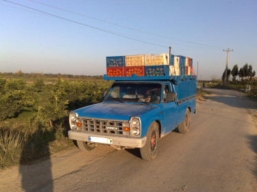King_Of_Nissan-87_-_KKG_-_panoramio