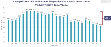 koronavirus fertozott atlageletkor