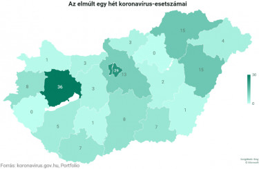 koronavirus4
