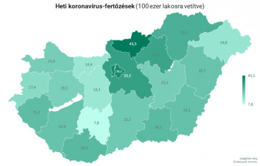 koronavirus7