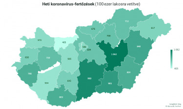 koronavirus7
