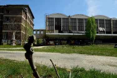 nagyvásártelep