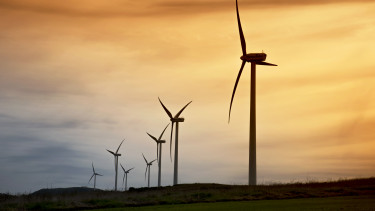 Parque_Catefica_Portugal_Iberdrola