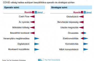 Rozsa Tamas abra negyes