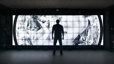 Ha nem sokára úgyis kipusztulunk, legalább hagyjuk szafírba mart történetünket a Hold porában