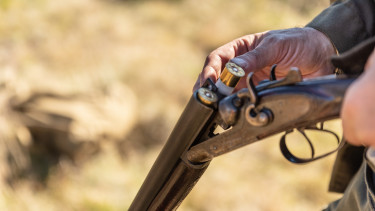 Shotgun-soretes-puska-vadaszat-stock