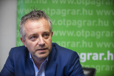 Szabó István