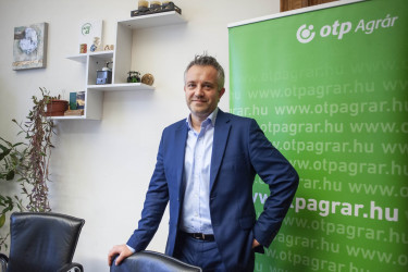 Szabó István OTP