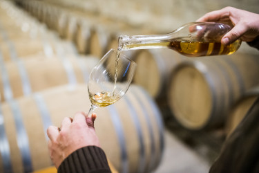 Szepsy István borász-20 tokaj bor aszú
