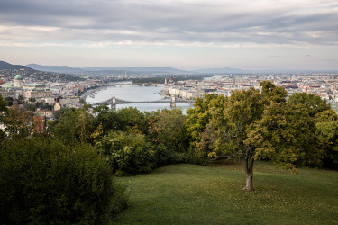 walton imre fotózás
