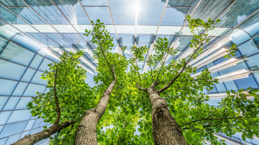 Fontos újítások jönnek az ESG szabályozásban: mutatjuk a részleteket
