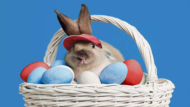 Ne legyél Nyúl! Így fektess be okosan.